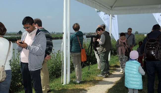 Il bilancio. Curiosità e numeri della Po Delta Birdwatching Fair di Comacchio