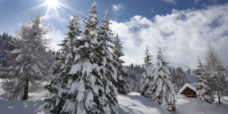 In Carnia un fitto calendario di appuntamenti sulla neve