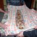 Dal 31 luglio al 2 agosto a Fiuminata (MC) torna la Festa della Crescia Fogliata