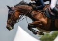 Fieracavalli Riding by the Sea: arriva a Porto Sant’Elpidio (FM) l’evento estivo
