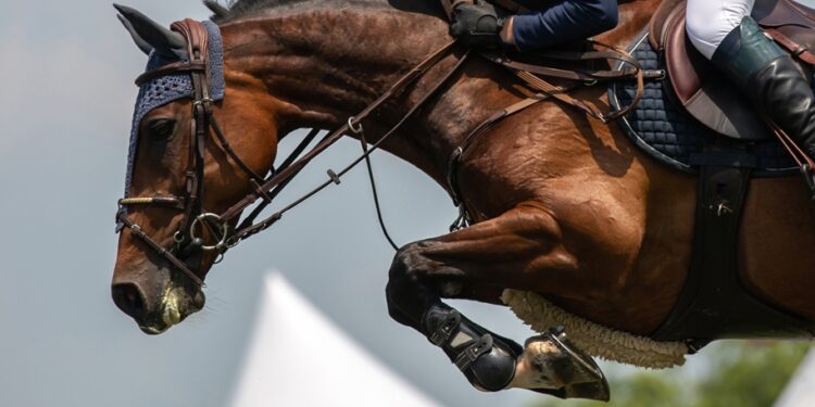 Fieracavalli Riding by the Sea: arriva a Porto Sant’Elpidio (FM) l’evento estivo