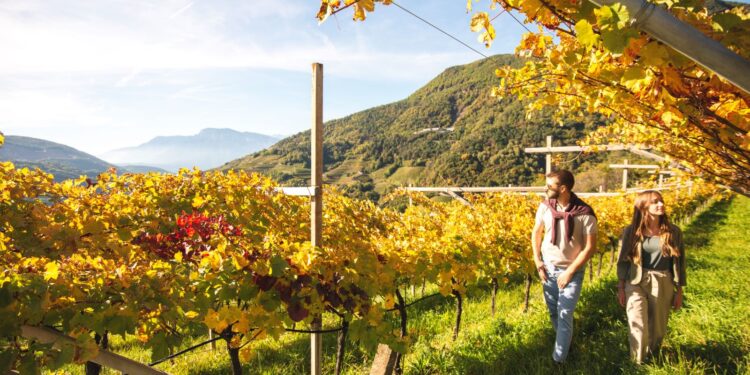 DoloViniMiti, il festival dei vini verticali dall’1 al 4 ottobre nelle Valli di Cembra e Fiemme