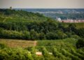 Dalla culla del riso ai vigneti del Supervulcano: un viaggio nel gusto dell’Alto Piemonte