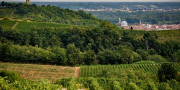 Dalla culla del riso ai vigneti del Supervulcano: un viaggio nel gusto dell’Alto Piemonte