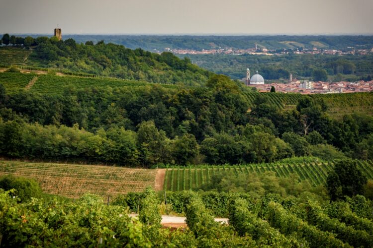 Gattinara - Arch. Fot. ATL Terre dell'Alto Piemonte