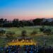 Roma Borgata Festival: sette giorni tra danza, teatro, musica, letteratura e passeggiate